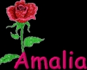 amalia11.gif